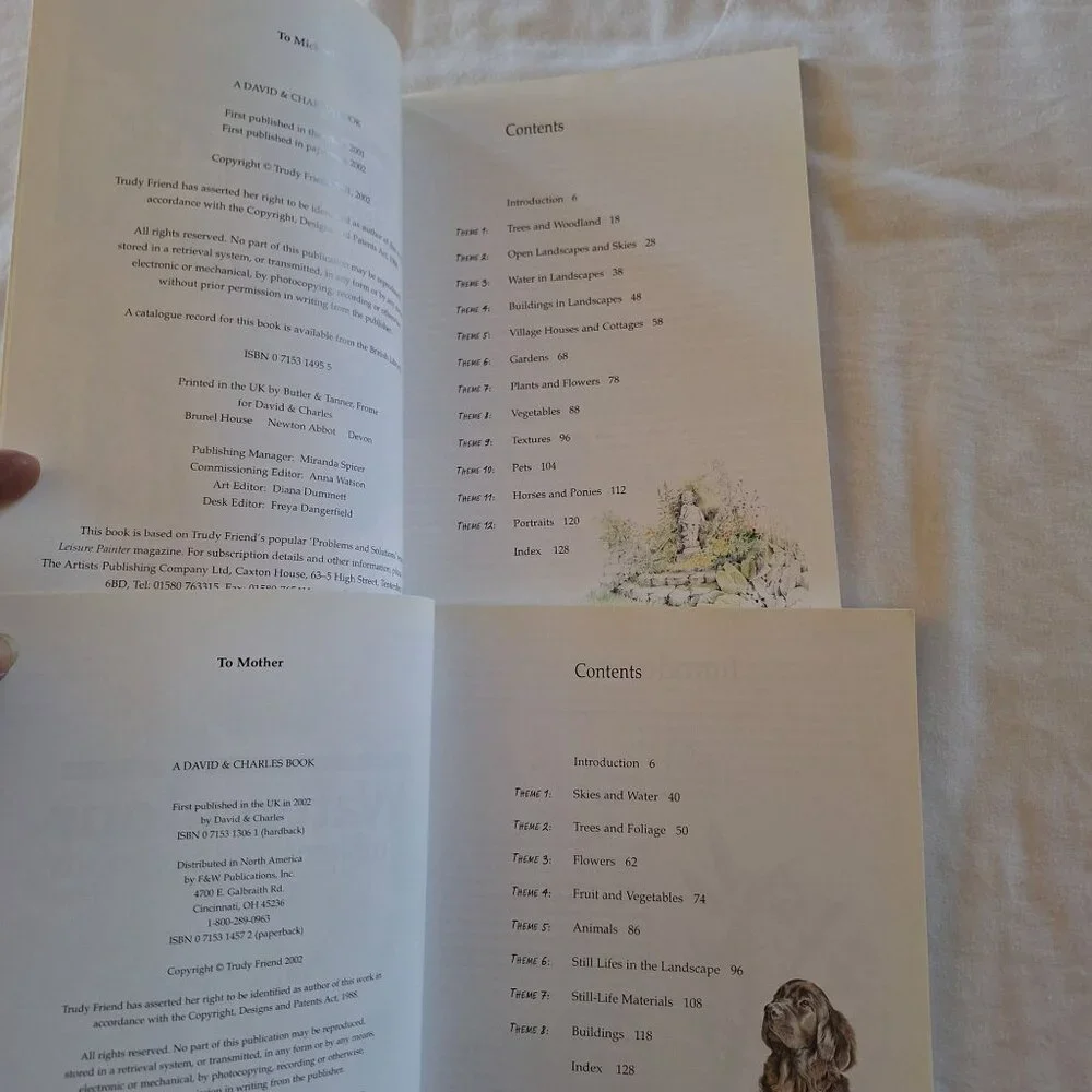 2 Trouble-Shooting Drawing & Watercolor Problems And Solutions By Trudy Friend - Picture 3 of 6